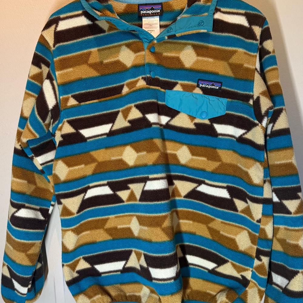 Patagonia Synchilla Teal and Brown Fleece